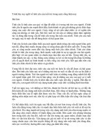 Tải Trình bày suy nghĩ về tình yêu của tuổi trẻ trong cuộc sống hiện nay - Bài văn mẫu lớp 12