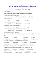Tải Đề thi học kì 2 môn tiếng Anh lớp 10 năm 2019 - 2020 số 3 - Đề thi tiếng Anh lớp 10 học kì 2 có đáp án