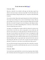 Tải Tả cây táo trong vườn nhà em lớp 4, 5 - Bài văn mẫu Tả cây ăn quả hay