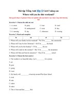 Tải Bài tập Tiếng Anh lớp 5 Unit 5 nâng cao: Where will you be this weekend? - Tổng hợp bài tập Unit 5 tiếng Anh lớp 5 có đáp án