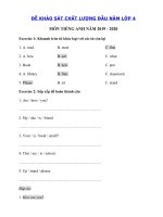Tải Đề thi khảo sát chất lượng đầu năm lớp 4 môn tiếng Anh số 4 - Đề kiểm tra đầu năm môn tiếng Anh 4 năm 2019 - 2020 có đáp án