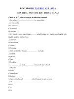 Tải Đề cương ôn tập tiếng Anh lớp 6 học kì 1 có đáp án - Đề kiểm tra tiếng Anh 6 mới có đáp án