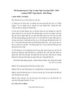 Tải Đề thi giữa học kì 2 lớp 11 môn Ngữ văn năm 2018 - 2019 trường THPT Ngô Quyền - Hải Phòng - Đề kiểm tra giữa kì 2 Ngữ văn 11 có đáp án