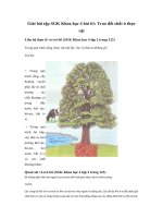 Tải Giải bài tập SGK Khoa học 4 bài 61: Trao đổi chất ở thực vật - Giải bài tập môn Khoa học lớp 4 tập 2