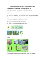 Tải Giải bài tập SGK Khoa học 5 bài 56: Sự sinh sản của côn trùng - Giải bài tập môn Khoa học lớp 5 tập 2