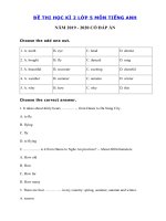 Tải Đề thi tiếng Anh lớp 5 học kỳ 2 năm 2019 - 2020 số 3 - Đề tiếng Anh lớp 5 học kì 2 có đáp án