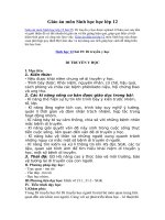 Tải Giáo án môn Sinh học lớp 12 bài 25 - Di truyền y học