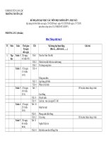 Tải Kế hoạch dạy học kì 2 lớp 5 môn Tiếng việt Giảm tải (10 tuần) - Phân phối chương trình học kì 2 lớp 5