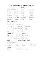 Tải Đề thi học sinh giỏi lớp 3 môn Tiếng Anh năm học 2018 - 2019 (số 2) - Luyện thi HSG môn Tiếng Anh lớp 3 có đáp án