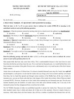 Tải Đề thi thử THPT Quốc gia môn tiếng Anh lần 2 năm 2015 trường THPT Nguyễn Quang Diêu, Đồng Tháp có đáp án - Đề thi thử đại học môn tiếng Anh có đáp án