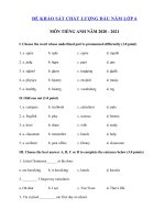 Tải Đề khảo sát đầu năm lớp 6 môn tiếng Anh năm 2020 - 2021 - Đề thi khảo sát chất lượng đầu năm lớp 6 môn tiếng Anh có đáp án