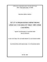Xử lý vi phạm hành chính trong lĩnh vực văn hóa từ thực tiễn tỉnh cao bằng 