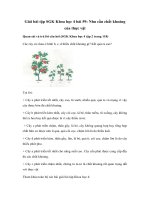 Tải Giải bài tập SGK Khoa học 4 bài 59: Nhu cầu chất khoáng của thực vật - Giải bài tập môn Khoa học lớp 4 tập 2