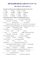 Tải Đề thi giữa học kì 1 lớp 10 môn Anh năm 2020 - 2021 - Đề thi giữa học kì 1 môn tiếng Anh lớp 10 có đáp án