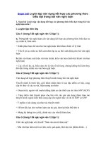 Tải Soạn bài Luyện tập vận dụng kết hợp các phương thức biểu đạt trong bài văn nghị luận - Soạn bài lớp 12