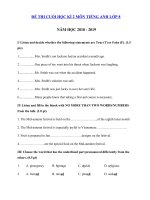 Tải Đề thi môn Tiếng Anh lớp 8 học kì 2 trường THPT Nguyễn Văn Trãi năm học 2018 - 2019 - Đề thi học kì 2 lớp 8 môn Tiếng Anh có đáp án