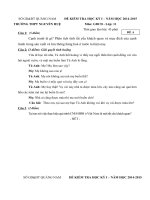 Tải Đề thi học kì 1 môn Giáo dục công dân lớp 11 trường THPT Nguyễn Huệ, Quảng Nam năm học 2014 - 2015 - Đề kiểm tra học kì I môn GDCD lớp 11 có đáp án