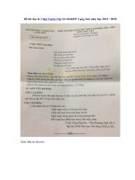 Tải Đề thi học kì 2 lớp 9 môn Văn Sở GD&ĐT Lạng Sơn năm học 2019 - 2020 - Đề kiểm tra HK 2 lớp 9 môn Văn