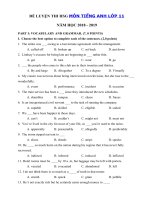 Tải Đề thi học sinh giỏi môn Tiếng Anh lớp 11 năm học 2018 - 2019 số 14 - Đề thi học sinh giỏi lớp 11 môn Tiếng Anh có đáp án