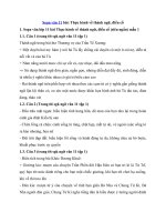 Tải Soạn văn 11 bài: Thực hành về thành ngữ, điển cố - Soạn bài lớp 11