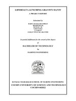 THIẾT kế hệ THỐNG cẩu XUỒNG cứu SINH