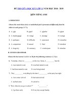 Tải Đề kiểm tra giữa học kì 2 lớp 11 môn Tiếng Anh năm học 2018 - 2019 số 4 - Đề kiểm tra Tiếng Anh lớp 11