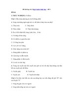 Tải Đề thi học kì 2 lớp 8 môn Sinh học - Đề 1 - Đề thi trắc nghiệm HK II môn Sinh học lớp 8 có đáp án