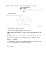 Tải Đề thi giữa học kì 1 lớp 10 môn Ngữ văn Trường THPT Minh Phú năm 2020 - 2021 - Đề kiểm tra giữa học kì 1 lớp 10 môn Văn