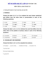 Tải Đề thi giữa học kì 1 lớp 10 môn tiếng Anh năm 2020 - Đề kiểm tra tiếng Anh lớp 10 học kì 1 có đáp án