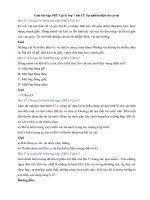 Tải Giải bài tập SBT Vật lý lớp 7 bài 17: Sự nhiễm điện do cọ sát - Giải bài tập môn Vật lý lớp 7