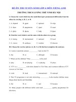 Tải Đề thi thử tiếng Anh vào lớp 6 trường THCS Ngoại Ngữ, Hà Nội số 2 - Đề thi vào lớp 6 môn tiếng Anh có đáp án