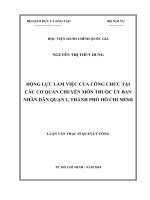 Động lực làm việc của công chức tại các cơ quan chuyên môn thuộc UBND quận 1, tp  HCM 