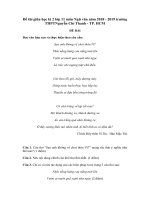 Tải Đề thi giữa học kì 2 lớp 11 môn Ngữ văn năm 2018 - 2019 trường THPT Nguyễn Chí Thanh - TP. HCM - Đề kiểm tra giữa kì 2 Ngữ văn 11 có đáp án