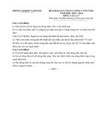 Tải Đề thi học kì 2 môn Vật lý lớp 7 phòng GD&ĐT Tam Đảo, Vĩnh Phúc năm 2015 - 2016 - Đề kiểm tra cuối học kì II môn Vật lý lớp 7 có đáp án