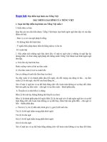 Tải Soạn bài Đặc điểm loại hình của Tiếng Việt - Soạn bài môn Ngữ văn lớp 11 học kì II