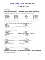 Tải Đề thi học kì 2 lớp 11 môn Tiếng Anh có file nghe năm học 2018 - 2019 số 2 - Đề thi học kì 2 môn Tiếng Anh lớp 11 có đáp án