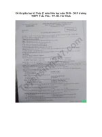 Tải Đề thi giữa học kì 2 lớp 12 môn Hóa học năm 2018 - 2019 trường THPT Trần Phú - TP. Hồ Chí Minh - Đề kiểm tra giữa kì 2 Hóa học 12 có đáp án