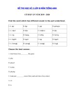 Tải Đề thi tiếng Anh lớp 8 học kì 2 năm 2019 - 2020 số 2 - Đề thi học kì 2 lớp 8 môn tiếng Anh có đáp án