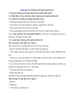 Tải Soạn văn 11 bài Phong cách ngôn ngữ báo chí - Soạn bài lớp 11 siêu ngắn