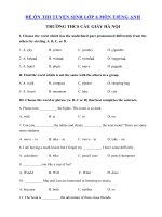 Tải Đề thi tiếng Anh vào lớp 6 trường THCS Cầu Giấy năm 2020 - Đề thi vào lớp 6 môn tiếng Anh có đáp án
