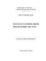 Năng suất lao động trong doanh nghiệp Việt Nam