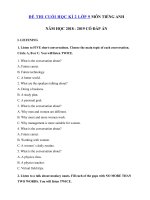 Tải Đề thi học kì 2 lớp 9 môn Tiếng Anh có file nghe năm học 2018 - 2019 số 5 - Đề thi học kì 2 môn Tiếng Anh lớp 9 có đáp án