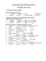 Tải Đề thi vào lớp 6 môn Tiếng Anh trường THCS&THPT Lương Thế Vinh năm 2019 - 2020 - Đề kiểm tra khảo sát năng lực vào lớp 6 môn Tiếng Anh