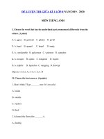 Tải Đề luyện thi giữa kì 1 lớp 8 môn tiếng Anh năm 2019 - 2020 - Đề kiểm tra tiếng Anh 8 cũ có đáp án