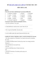 Tải Bộ đề thi giữa học kì 2 lớp 10 môn Tiếng Anh năm học 2018 - 2019 - Ôn thi giữa học kì 2 môn Tiếng Anh lớp 10 chương trình mới