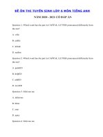 Tải Đề thi thử vào lớp 6 môn tiếng Anh trường Archimedes Academy năm 2020 - 2021 - Đề thi tiếng Anh vào lớp 6 có đáp án