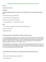 Tải Giải bài tập SGK Tiếng Anh lớp 8 Chương trình mới Unit 5 SKILLS 1, SKILLS 2 - Để học tốt Tiếng Anh 8 Thí điểm Unit 5 FESTIVALS IN VIETNAM