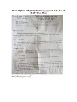 Tải Đề thi chọn học sinh giỏi lớp 12 môn Lịch sử năm 2020-2021 Sở GD&ĐT Bình Thuận - Đề thi học sinh giỏi môn Lịch sử 12