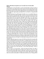 Tải Phát biểu cảm nghĩ của em về cái chết của Cô bé bán diêm - Bài văn mẫu lớp 8