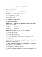 Tải Đề thi học kì 2 lớp 7 môn Ngữ văn - Đề 6 - Đề thi HK 2 lớp 7 môn Văn có đáp án